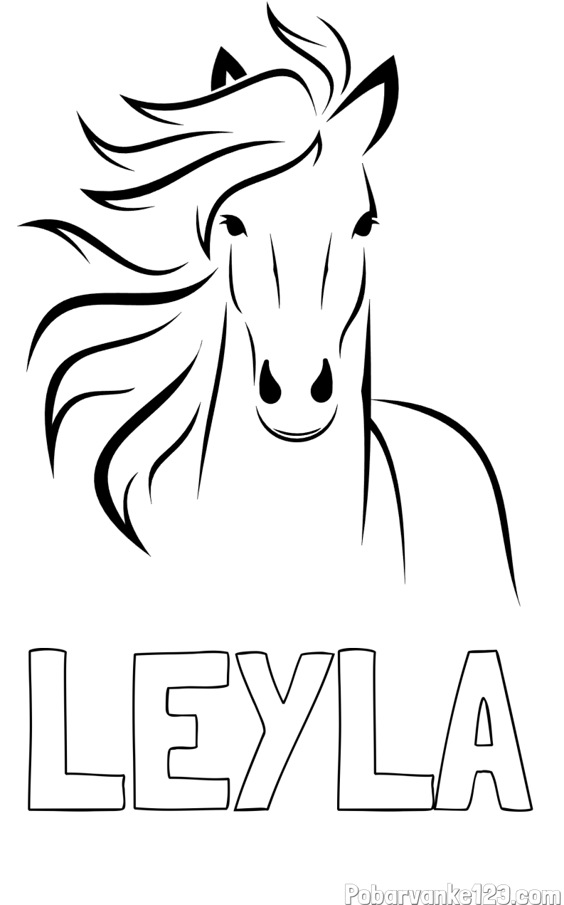 Pobarvanka imena LEYLA in lepa pobarvanka konja
