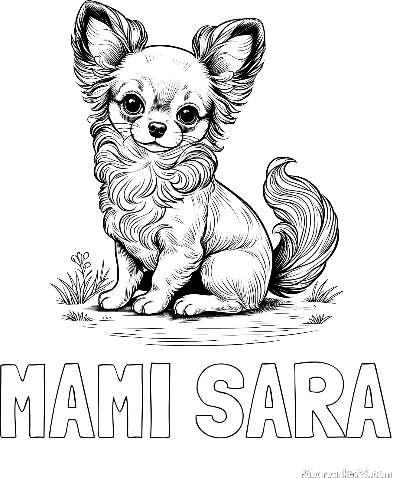 Pobarvanka imena MAMI SARA in pobarvanka ljubke čivave