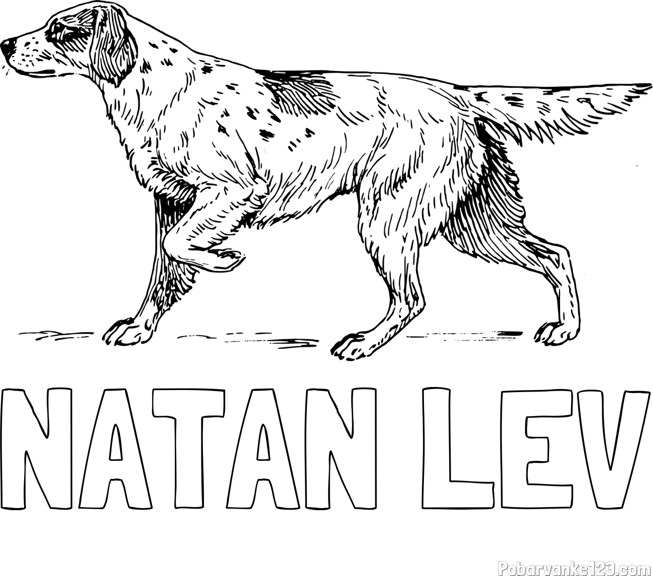 Pobarvanka imena NATAN LEV in pobarvanka lovskega psa na lovu