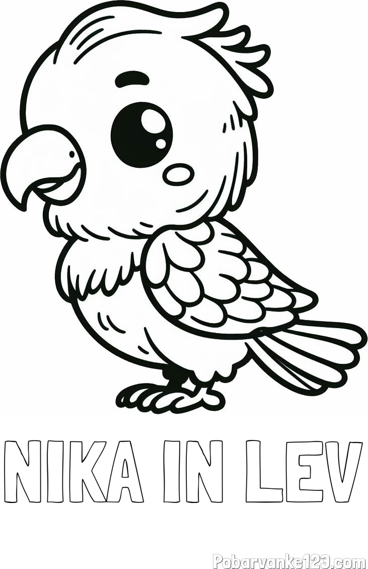 Pobarvanka imena NIKA IN LEV in pobarvanka ljubkega papagaja