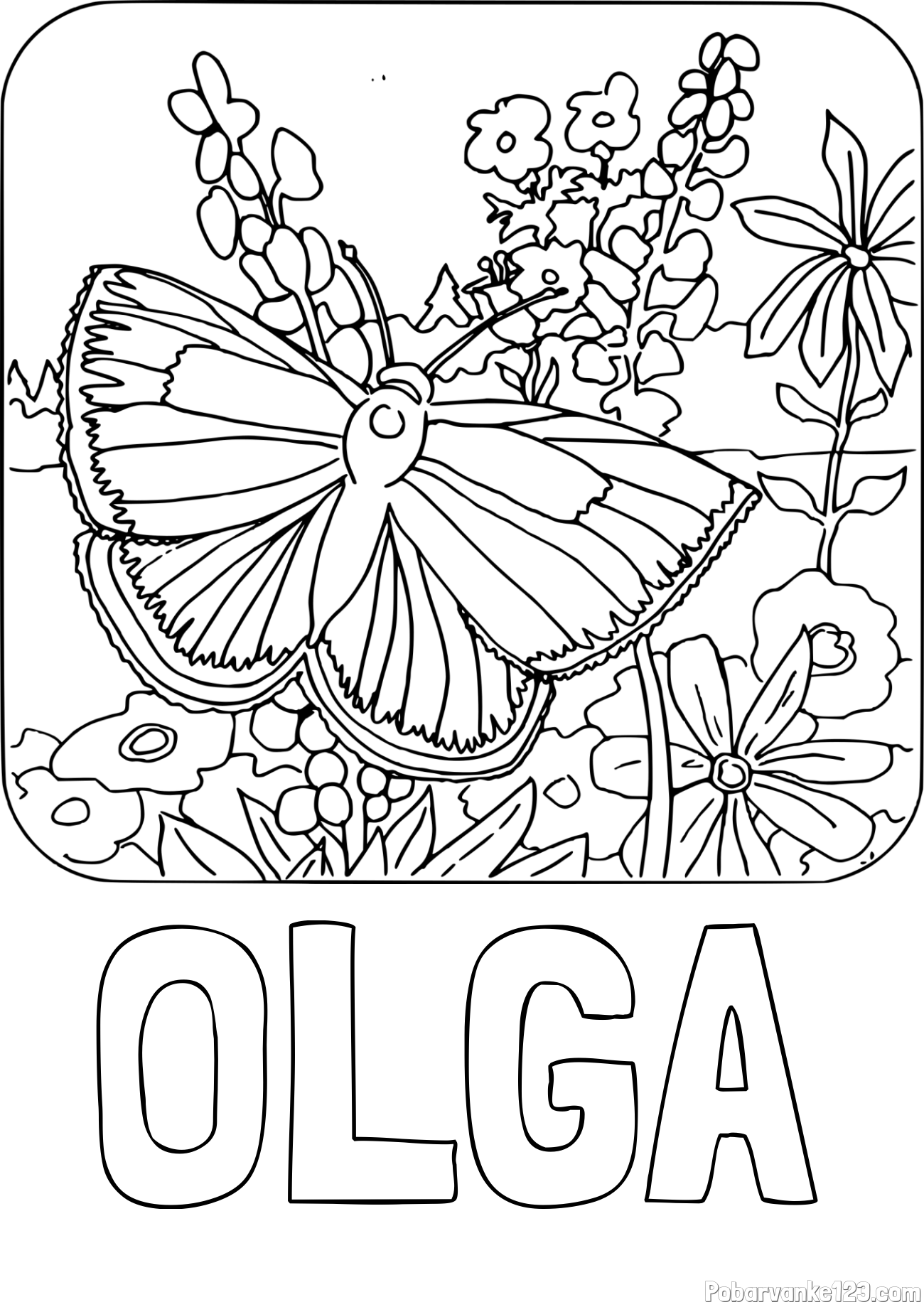 Pobarvanka imena OLGA in pobarvanka metulja v naravi
