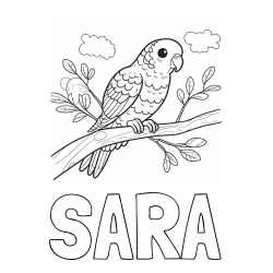 Online izdelana pobarvanka - Pobarvanka imena SARA in pobarvanka ljubkega kanarčka na veji