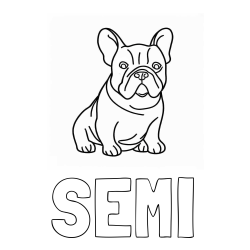 Online izdelana pobarvanka - Pobarvanka imena SEMI in pobarvanka francoskega buldoga