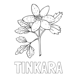 Online izdelana pobarvanka - Pobarvanka imena TINKARA in pobarvanka marjetice