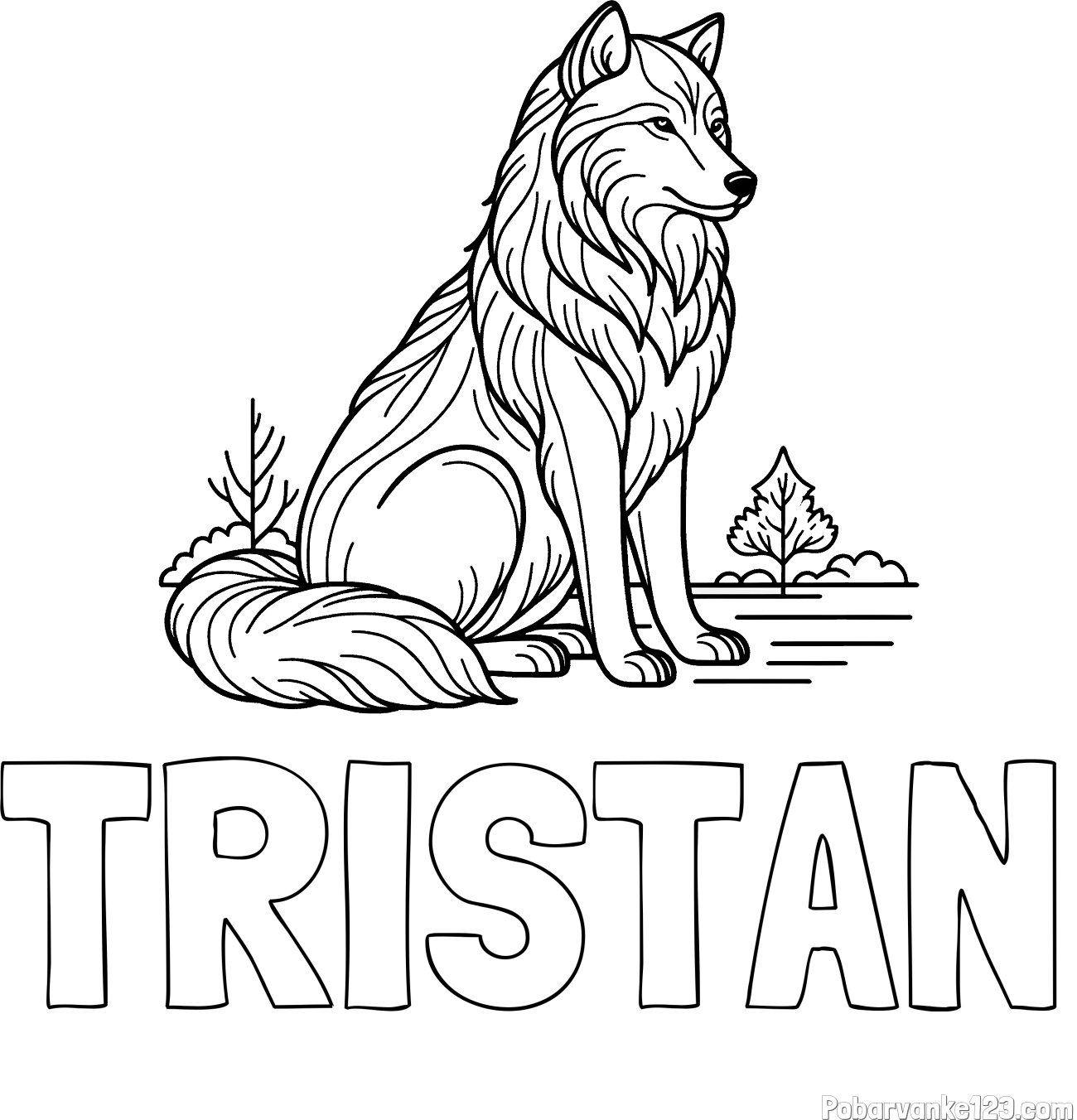Pobarvanka imena TRISTAN in pobarvanka sedečega volka