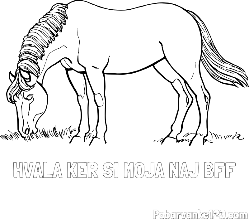 Pobarvanka imena HVALA KER SI MOJA NAJ BFF in pobarvanka konja med pašo