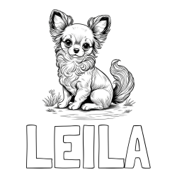 Online izdelana pobarvanka - Pobarvanka imena LEILA in pobarvanka ljubke čivave