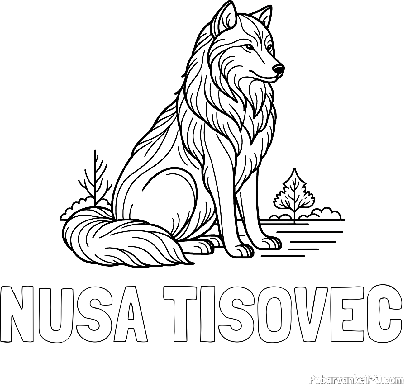 Pobarvanka imena NUŠA TISOVEC in pobarvanka sedečega volka