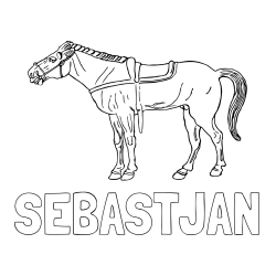 Online izdelana pobarvanka - Pobarvanka imena SEBASTJAN in pobarvanka starega konja