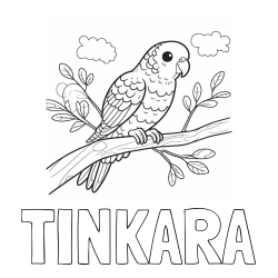 Online izdelana pobarvanka - Pobarvanka imena TINKARA in pobarvanka ljubkega kanarčka na veji