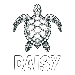 Online izdelana pobarvanka - Pobarvanka imena DAISY in enostavna pobarvanka želve