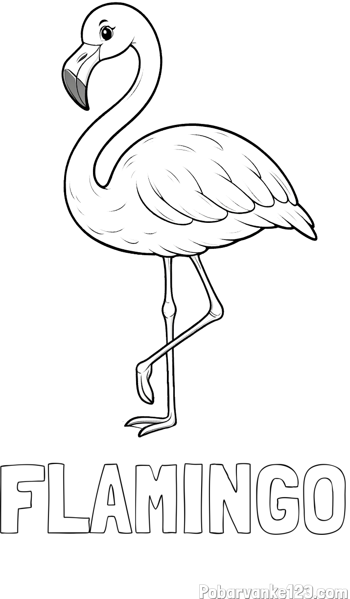 Pobarvanka imena FLAMINGO in pobarvanka flaminga