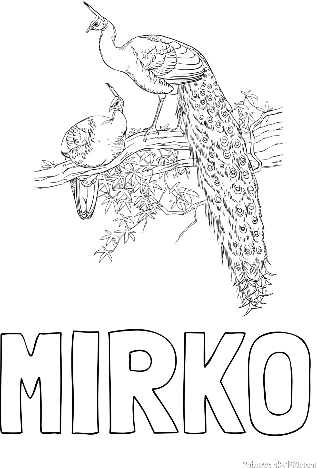 Pobarvanka imena MIRKO in pobarvanka pava