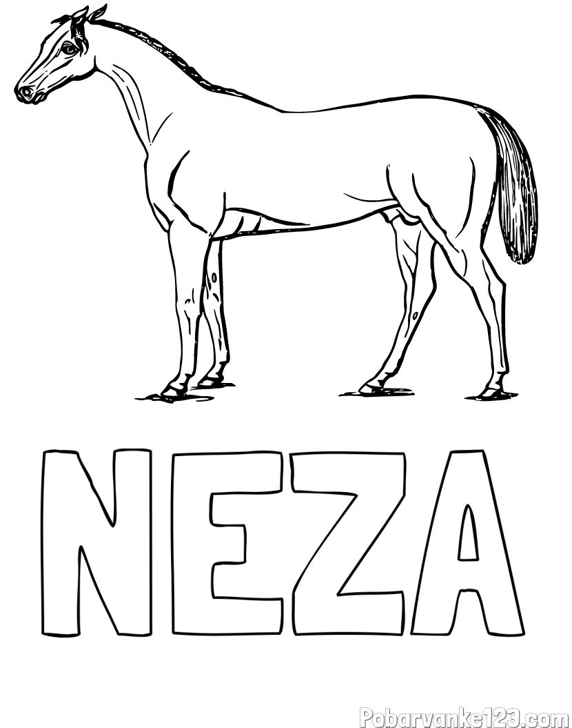 Pobarvanka imena NEŽA in pobarvanka konja