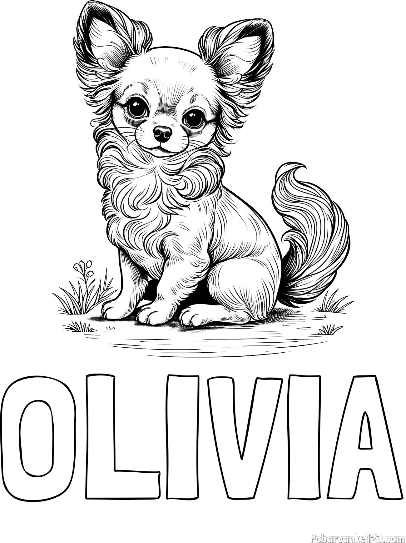 Pobarvanka imena OLIVIA in pobarvanka ljubke čivave