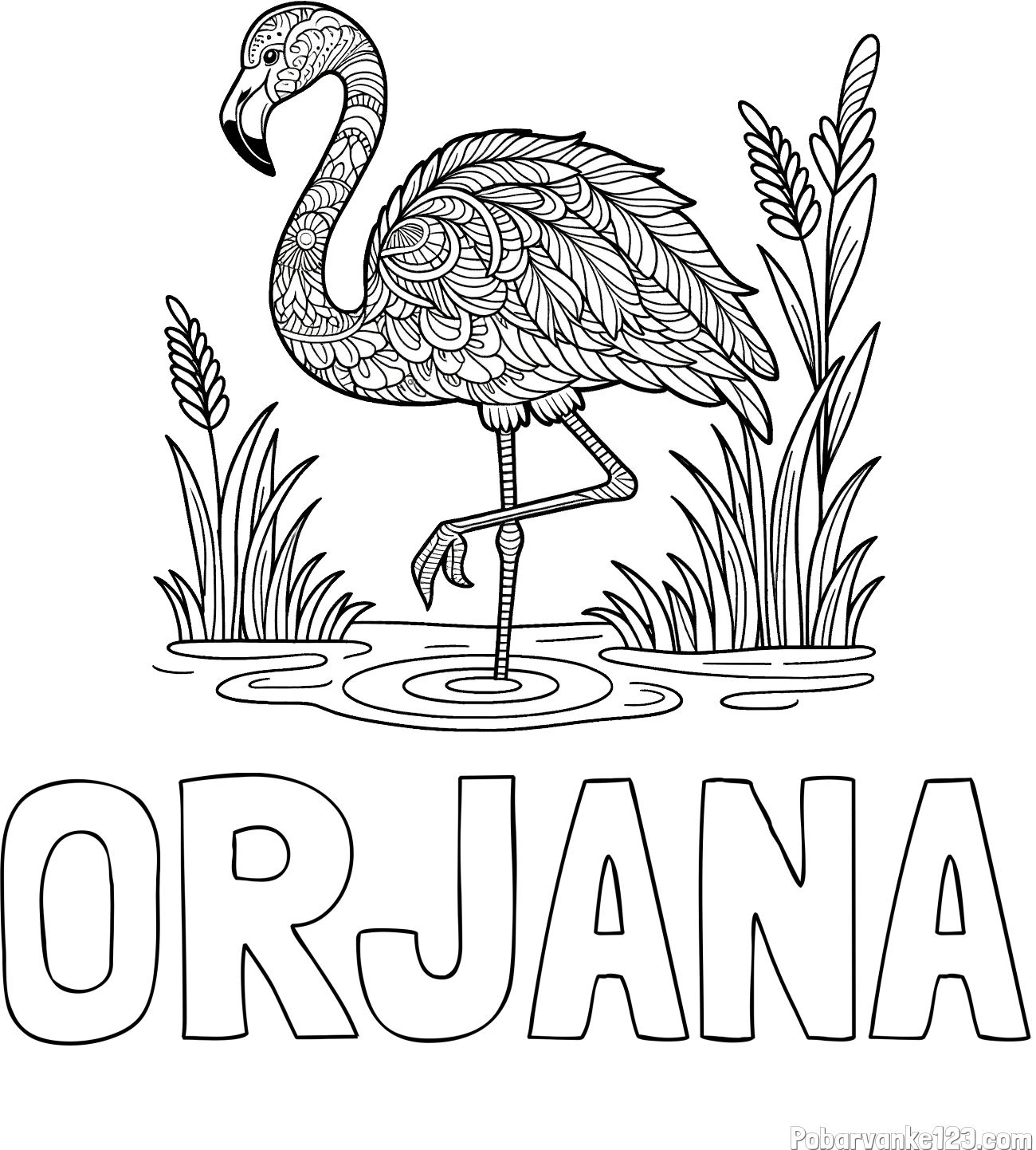 Pobarvanka imena ORJANA in pobarvanka flaminga z abstraktnimi vzorci