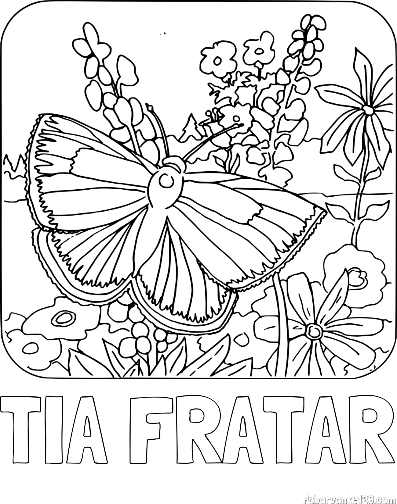 Pobarvanka imena TIA FRATAR in pobarvanka metulja v naravi