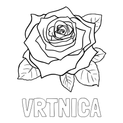 Online izdelana pobarvanka - Pobarvanka imena VRTNICA in pobarvanka vrtnice