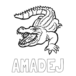 Online izdelana pobarvanka - Pobarvanka imena AMADEJ in pobarvanka krokodila