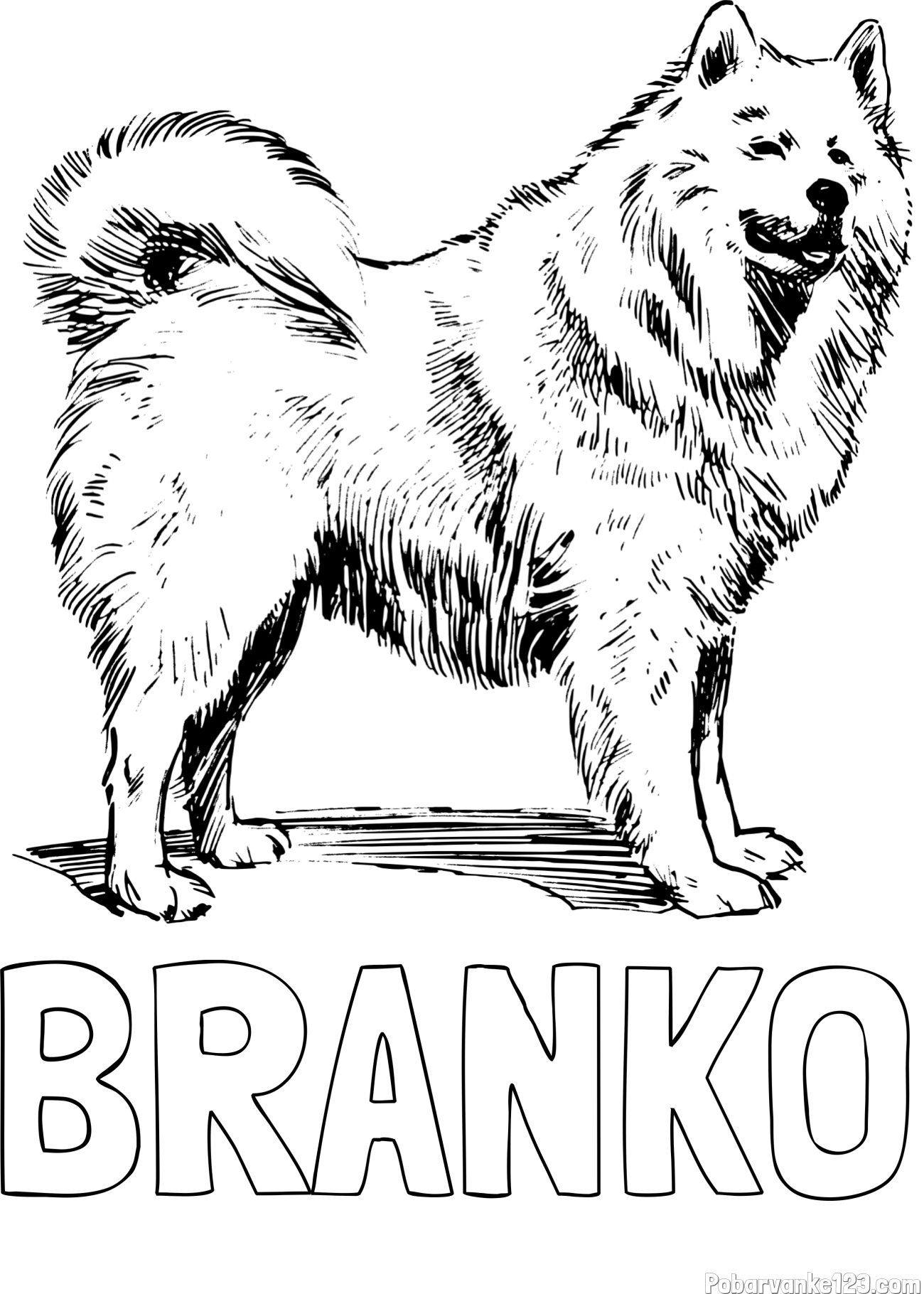 Pobarvanka imena BRANKO in pobarvanka čudovitega samojega