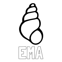 Online izdelana pobarvanka - Pobarvanka imena EMA in pobarvanka školjke morskega polžka