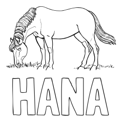 Online izdelana pobarvanka - Pobarvanka imena HANA in pobarvanka konja med pašo