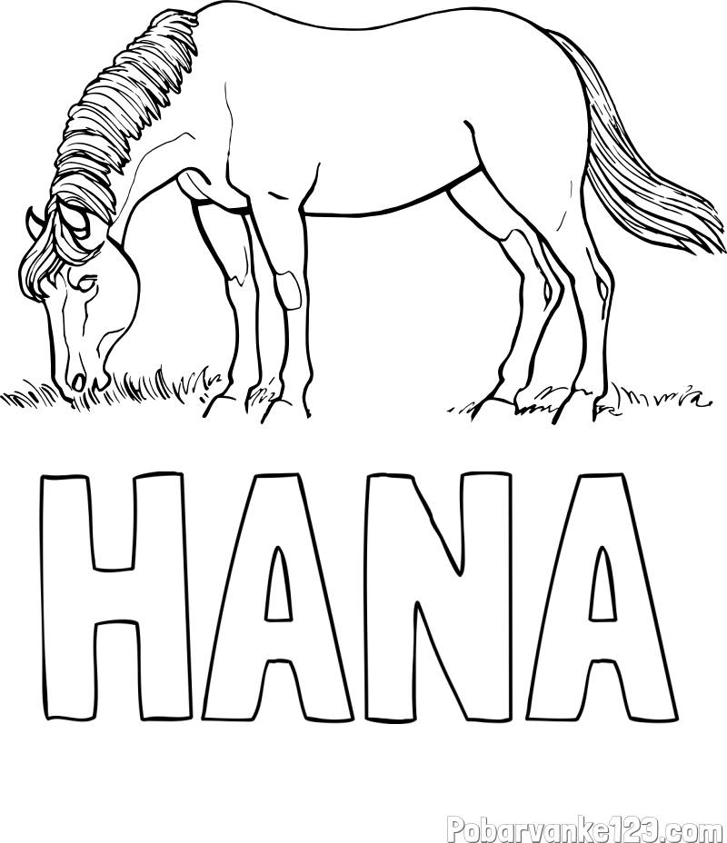 Pobarvanka imena HANA in pobarvanka konja med pašo