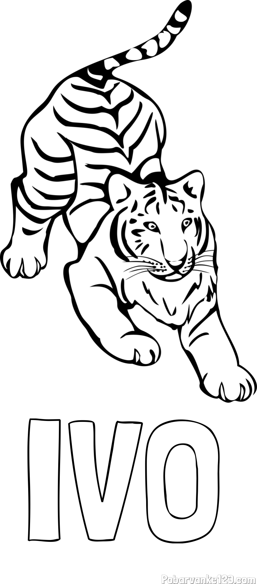 Pobarvanka imena IVO in pobarvanka velikega tigra