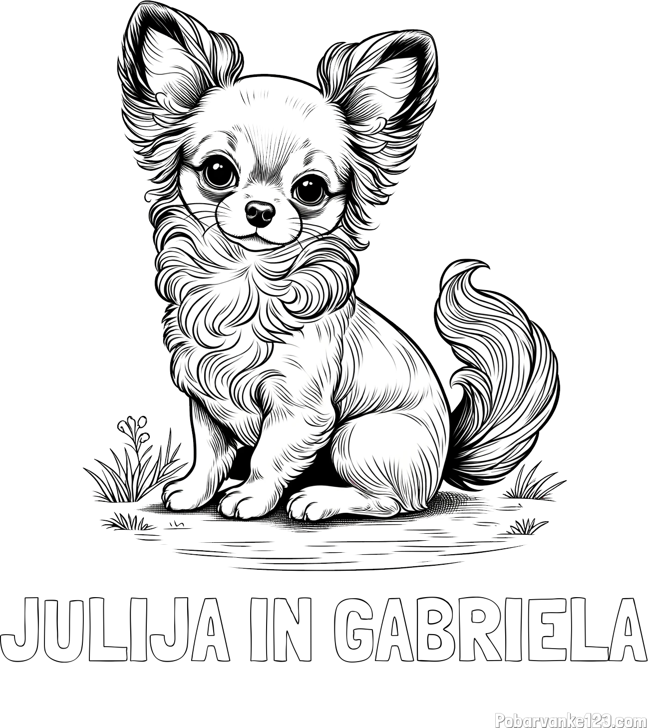 Pobarvanka imena JULIJA IN GABRIELA in pobarvanka ljubke čivave