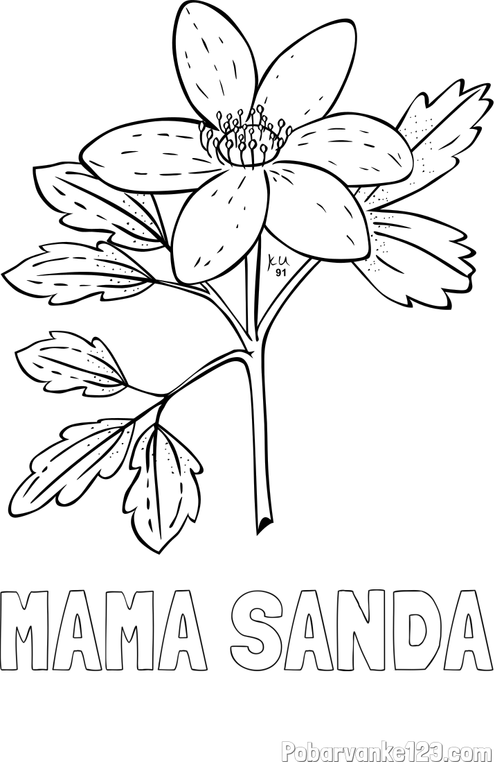 Pobarvanka imena MAMA SANDA in pobarvanka marjetice