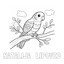 Pobarvanka imena NATALIJA   LIPOVEC in pobarvanka ljubkega kanarčka na veji