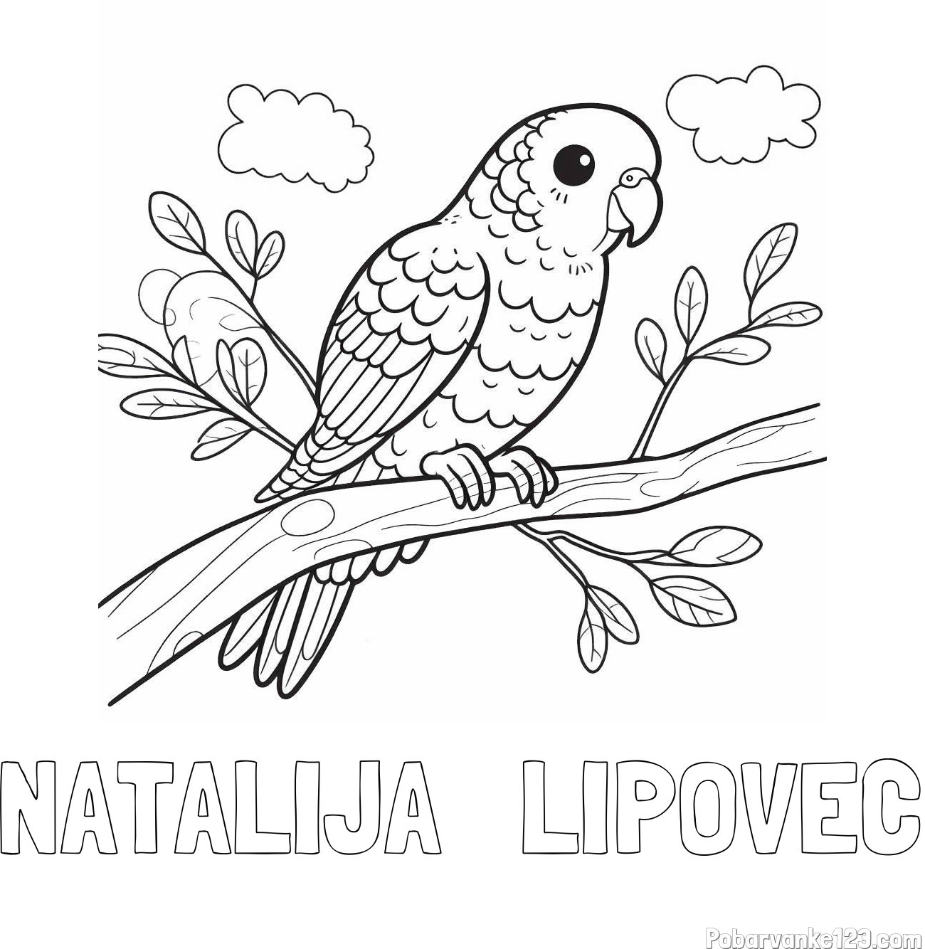 Pobarvanka imena NATALIJA   LIPOVEC in pobarvanka ljubkega kanarčka na veji