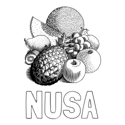 Online izdelana pobarvanka - Pobarvanka imena NUSA in pobarvanka sadja (ananas, melona, jabolka, kivi, grozdje, pomaranča...)