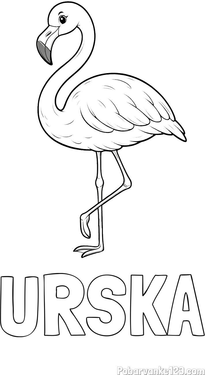 Pobarvanka imena URŠKA in pobarvanka flaminga