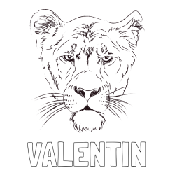 Online izdelana pobarvanka - Pobarvanka imena VALENTIN in pobarvanka levinje