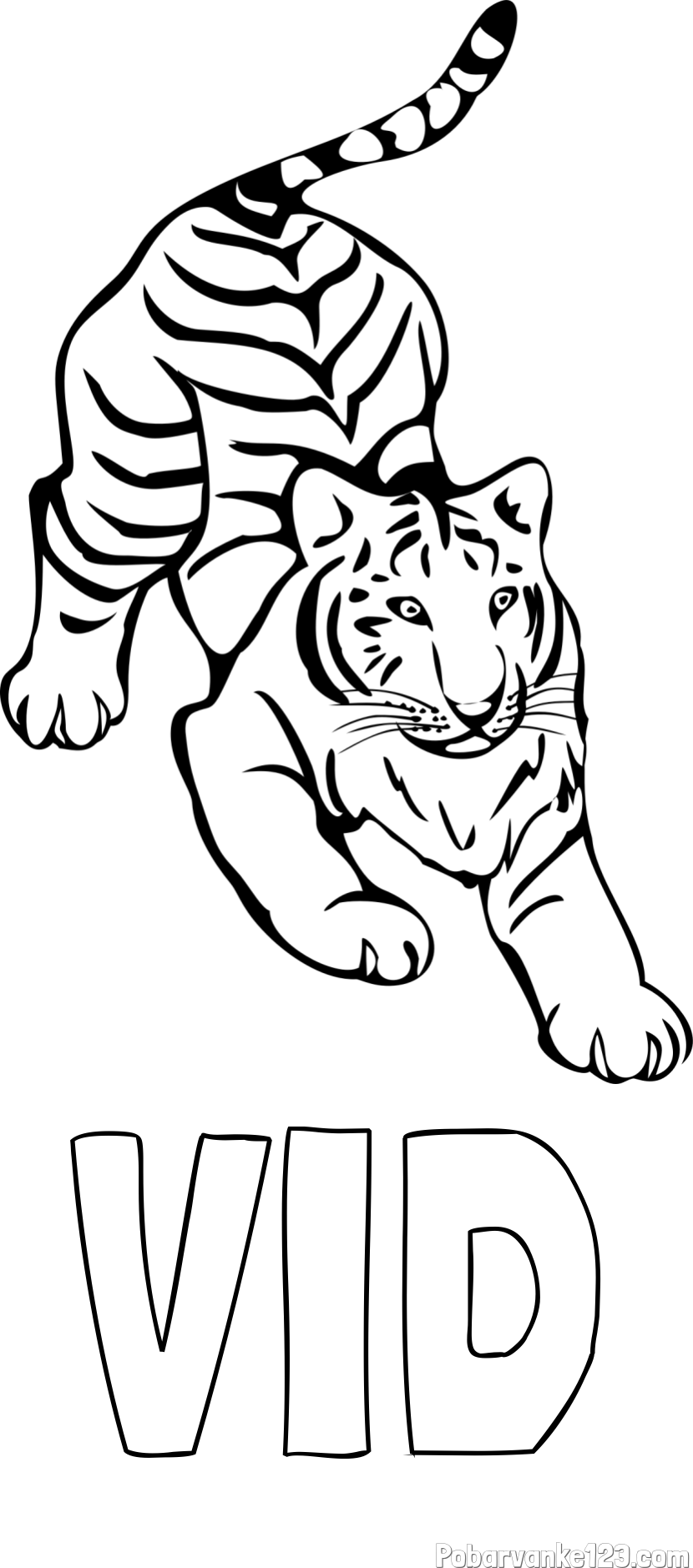 Pobarvanka imena VID in pobarvanka velikega tigra