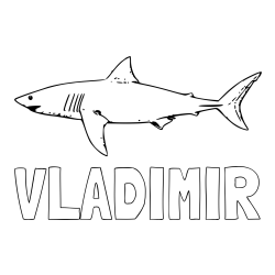 Online izdelana pobarvanka - Pobarvanka imena VLADIMIR in pobarvanka morskega psa