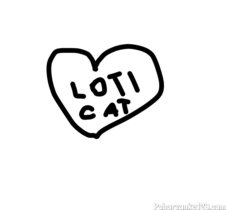 LOTI MUCA