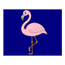Pobarvana pobarvanka - Pobarvanka flaminga