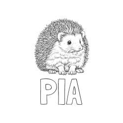 Pobarvana pobarvanka - Pobarvanka imena PIA in pobarvanka nasmejanega ježa