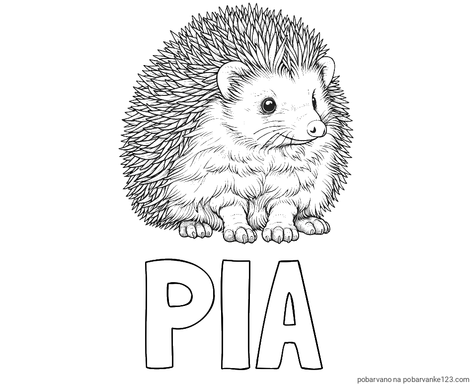 POBARVANA POBARVANKA - Pobarvanka imena PIA in pobarvanka nasmejanega ježa