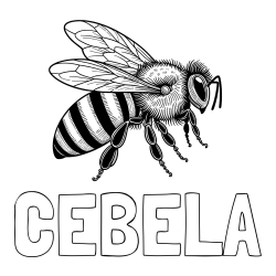 Online izdelana pobarvanka - Pobarvanka imena ČEBELA in pobarvanka realistične čebele