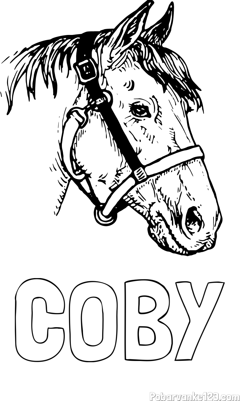 Pobarvanka imena COBY in konjska glava