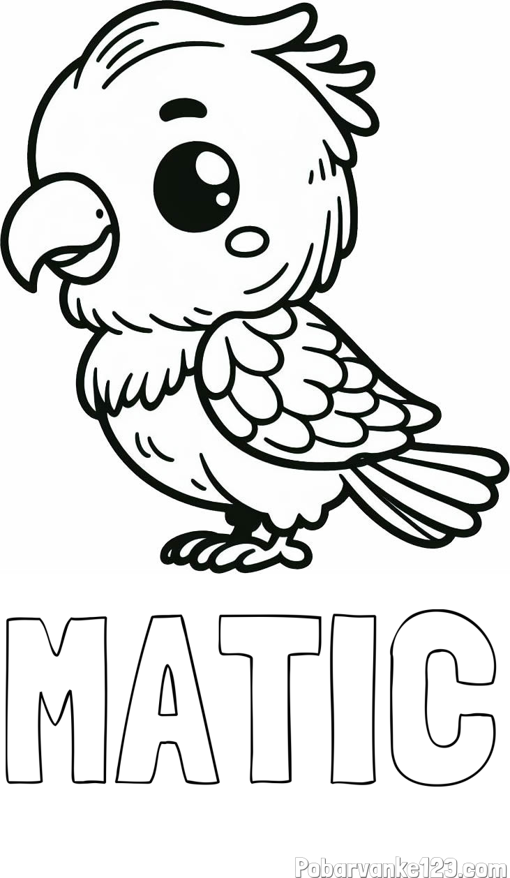 Pobarvanka imena MATIC in pobarvanka ljubkega papagaja