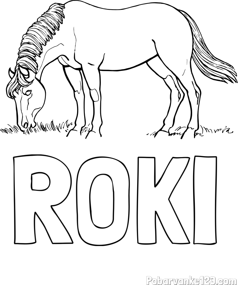 Pobarvanka imena ROKI in pobarvanka konja med pašo
