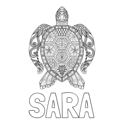 Online izdelana pobarvanka - Pobarvanka imena SARA in pobarvanka želve - mandale
