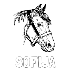 Online izdelana pobarvanka - Pobarvanka imena SOFIJA in konjska glava