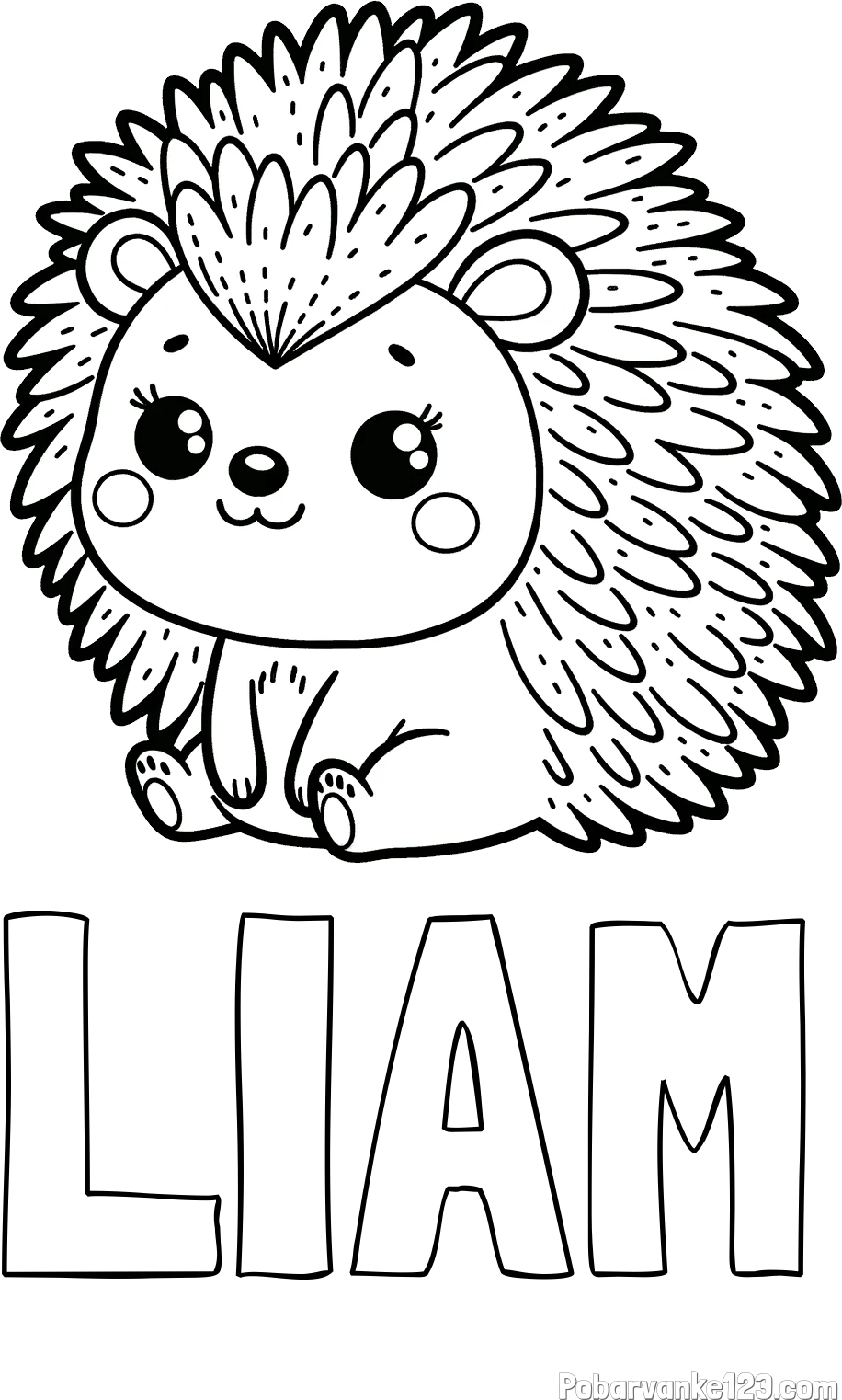 Pobarvanka imena LIAM in pobarvanka nasmejanega ježka
