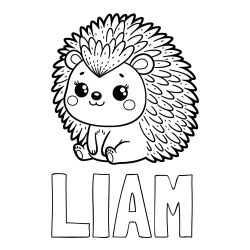 Pobarvanka imena LIAM in pobarvanka nasmejanega ježka