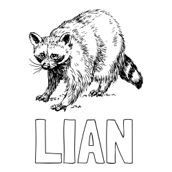 Pobarvanka imena LIAN in pobarvanka jazbeca
